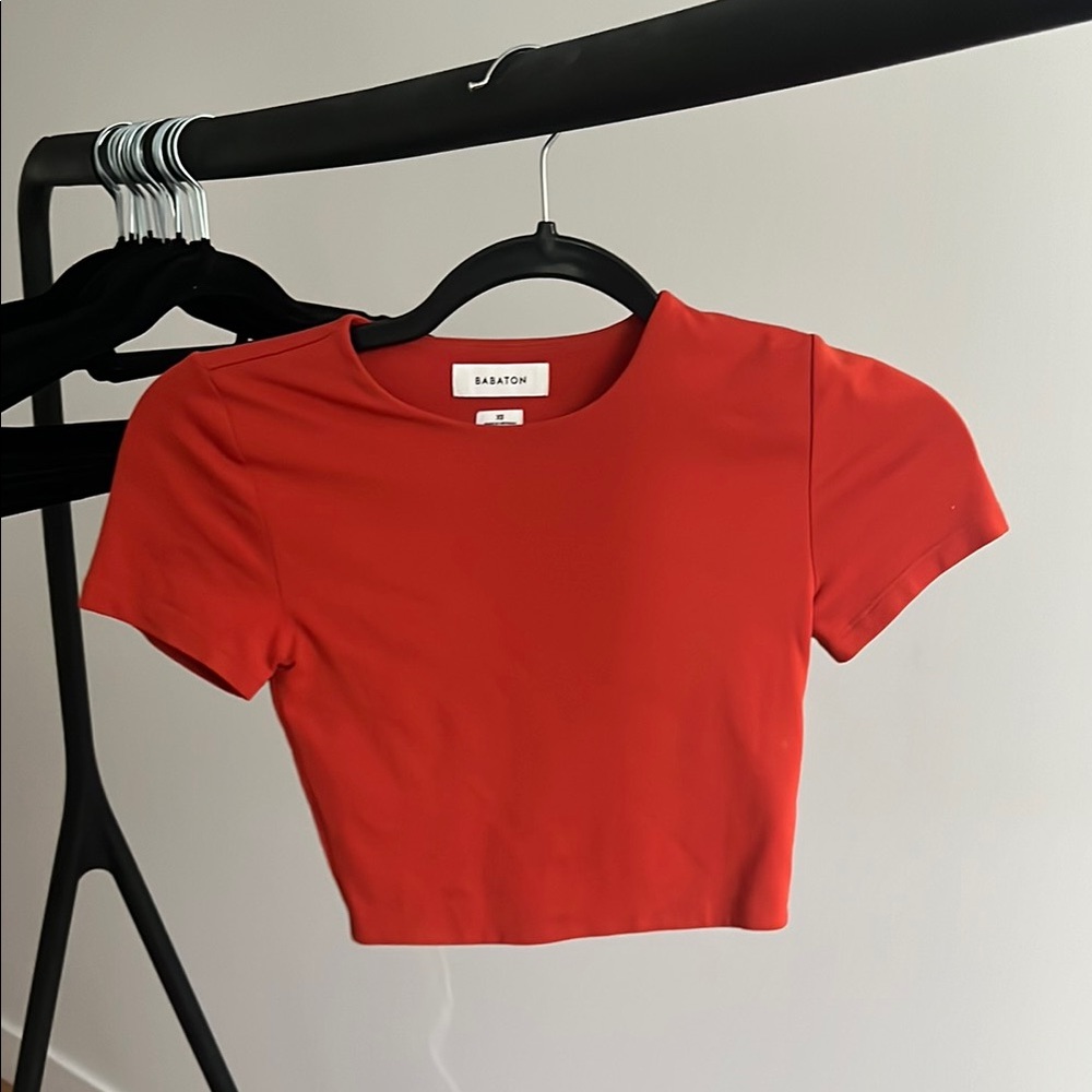 Aritzia babaton